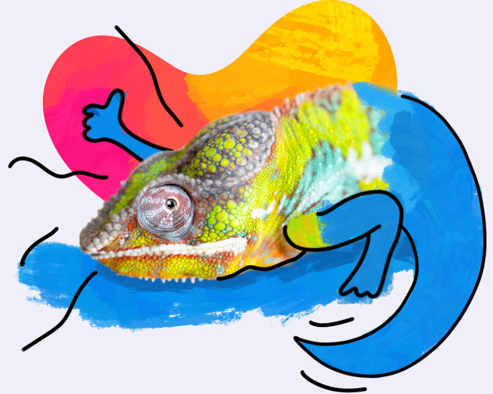 Met haptotherapie bij haptotherapiepraktijk ontdek je weer je echte kleur.