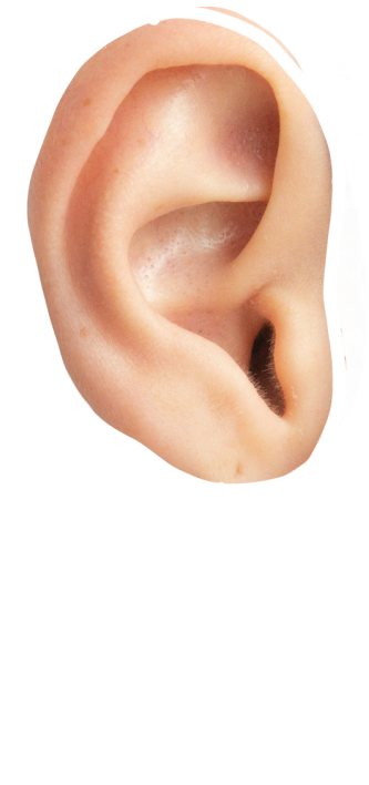 test-een-en-al-oor-v2