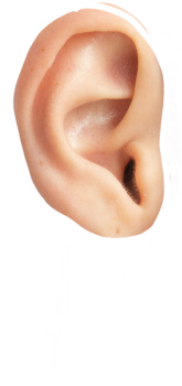 test-een-en-al-oor-v2